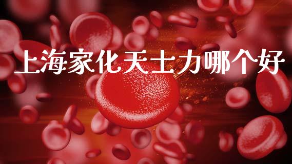 上海家化天士力哪个好_https://wap.78312.cn_债券资讯_第1张