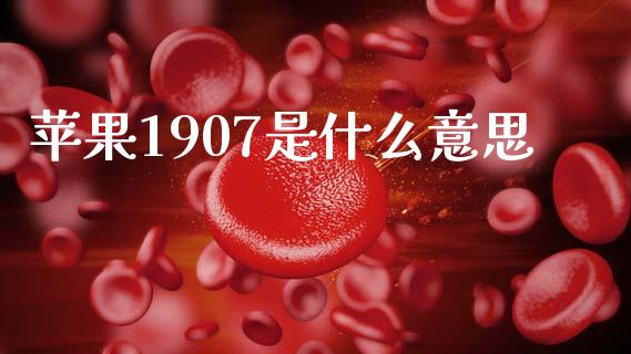 苹果1907是什么意思_https://wap.78312.cn_期货开户_第1张