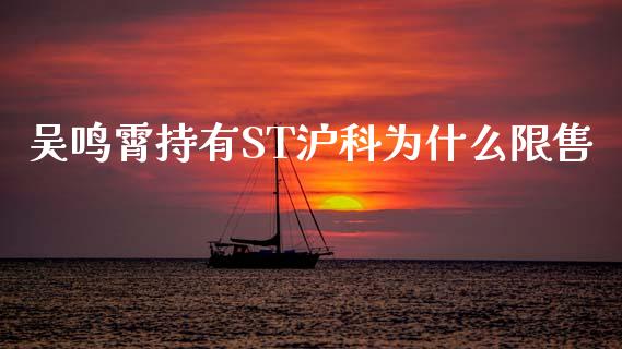 吴鸣霄持有ST沪科为什么限售_https://wap.78312.cn_财经新闻_第1张