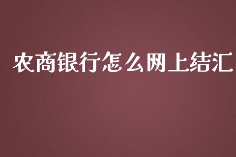 农商银行怎么网上结汇_https://wap.78312.cn_全球市场_第1张