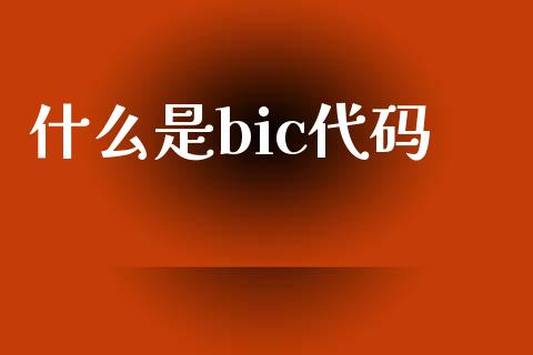 什么是bic代码_https://wap.78312.cn_财经新闻_第1张