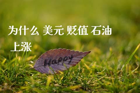 为什么 美元 贬值 石油 上涨_https://wap.78312.cn_金融监管_第1张
