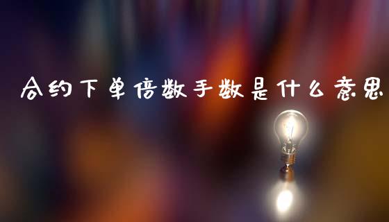合约下单倍数手数是什么意思_https://wap.78312.cn_债券资讯_第1张