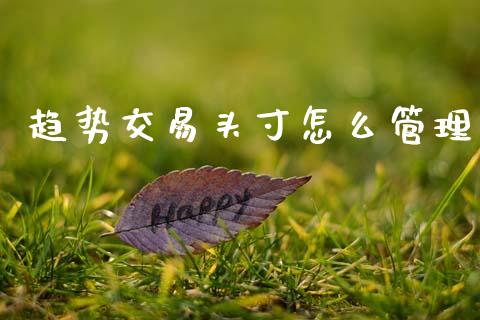 趋势交易头寸怎么管理_https://wap.78312.cn_财经新闻_第1张