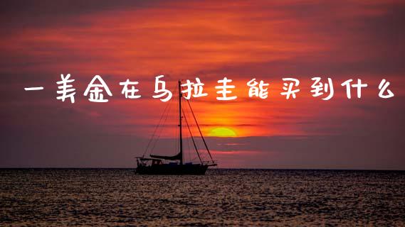 一美金在乌拉圭能买到什么_https://wap.78312.cn_金融监管_第1张