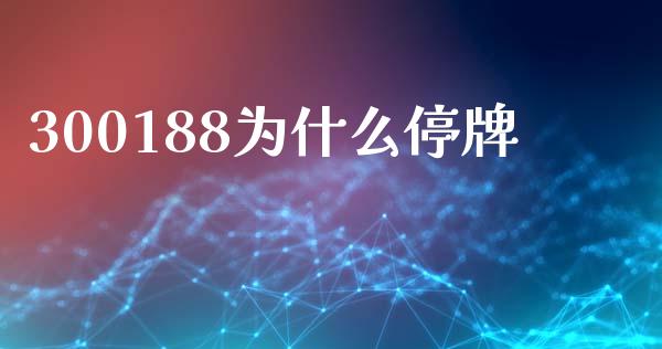 300188为什么停牌_https://wap.78312.cn_财经新闻_第1张