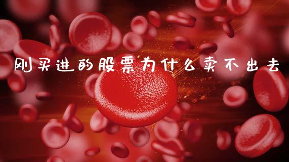 刚买进的股票为什么卖不出去_https://wap.78312.cn_金融监管_第1张