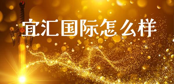 宜汇国际怎么样_https://wap.78312.cn_金融监管_第1张