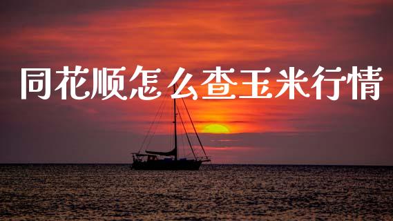 同花顺怎么查玉米行情_https://wap.78312.cn_期货开户_第1张