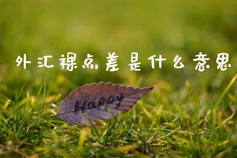 外汇裸点差是什么意思_https://wap.78312.cn_金融监管_第1张