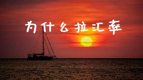 为什么拉汇率_https://wap.78312.cn_期货开户_第1张