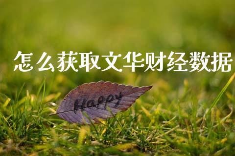 怎么获取文华财经数据_https://wap.78312.cn_金融监管_第1张