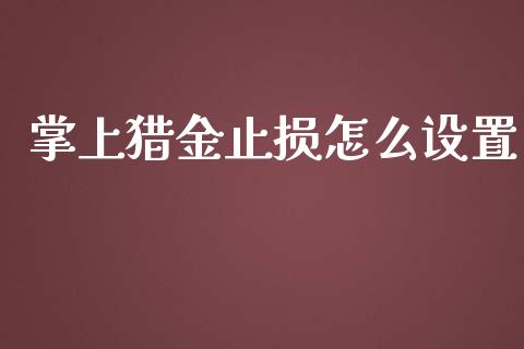 掌上猎金止损怎么设置_https://wap.78312.cn_全球市场_第1张