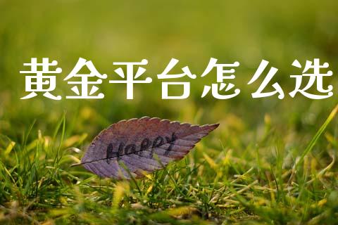 黄金平台怎么选_https://wap.78312.cn_金融监管_第1张