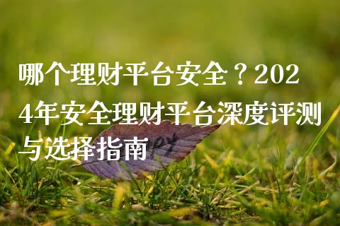 哪个理财平台安全？2024年安全理财平台深度评测与选择指南_https://wap.78312.cn_金融监管_第1张