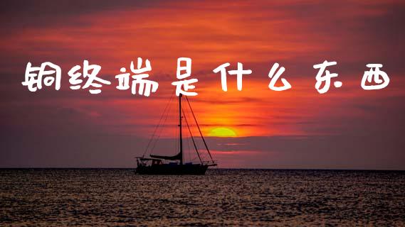 铜终端是什么东西_https://wap.78312.cn_外汇交易_第1张