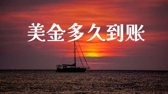 美金多久到账_https://wap.78312.cn_金融监管_第1张