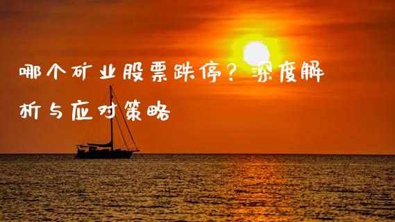哪个矿业股票跌停？深度解析与应对策略_https://wap.78312.cn_债券资讯_第1张