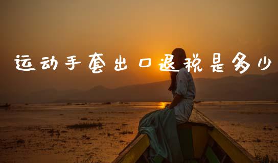 运动手套出口退税是多少_https://wap.78312.cn_全球市场_第1张