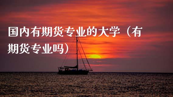 国内有期货专业的大学（有期货专业吗）_https://wap.78312.cn_金融监管_第1张