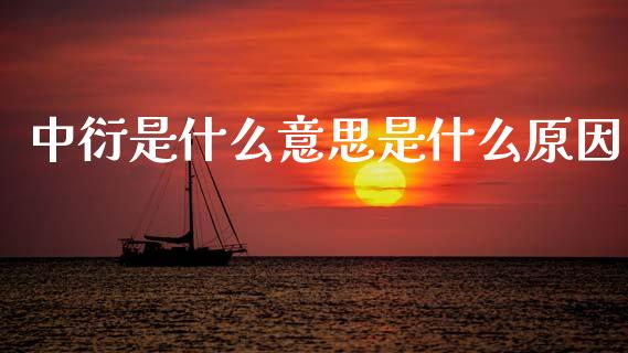 中衍是什么意思是什么原因_财经新闻_第1张_期货开户_金融监管_外汇交易_债券资讯_全球市场_财经新闻 中衍是什么意思是什么原因_https://wap.78312.cn_财经新闻_第1张