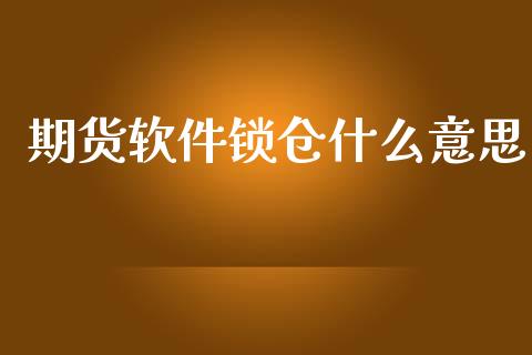 期货软件锁仓什么意思_https://wap.78312.cn_外汇交易_第1张