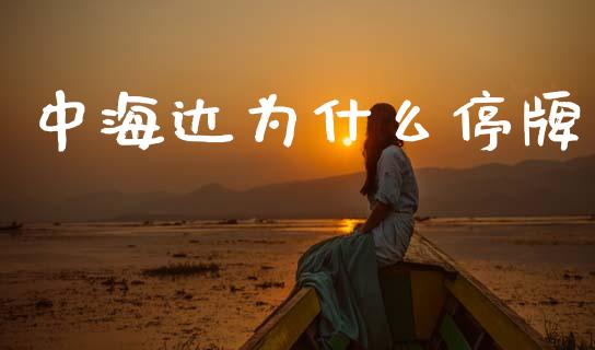 中海达为什么停牌_https://wap.78312.cn_外汇交易_第1张
