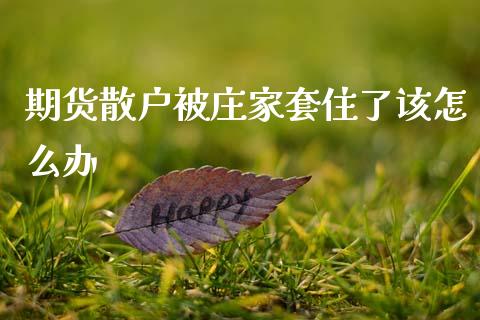 期货散户被庄家套住了该怎么办_https://wap.78312.cn_财经新闻_第1张