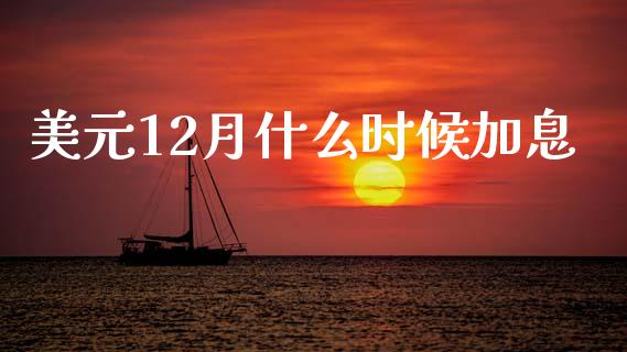 美元12月什么时候加息_https://wap.78312.cn_债券资讯_第1张