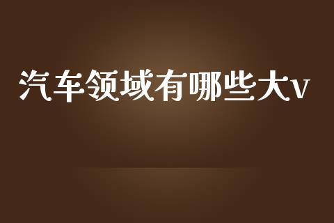 汽车领域有哪些大v_https://wap.78312.cn_期货开户_第1张