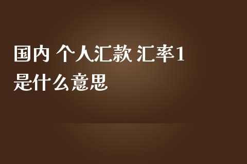 国内 个人汇款 汇率1 是什么意思_https://wap.78312.cn_财经新闻_第1张