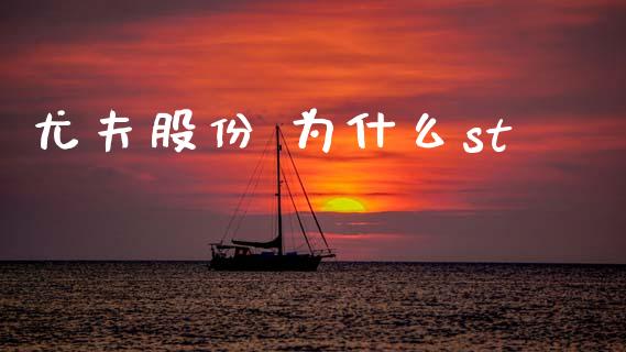 尤夫股份 为什么st_https://wap.78312.cn_金融监管_第1张