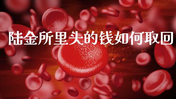 陆金所里头的钱如何取回_https://wap.78312.cn_财经新闻_第1张