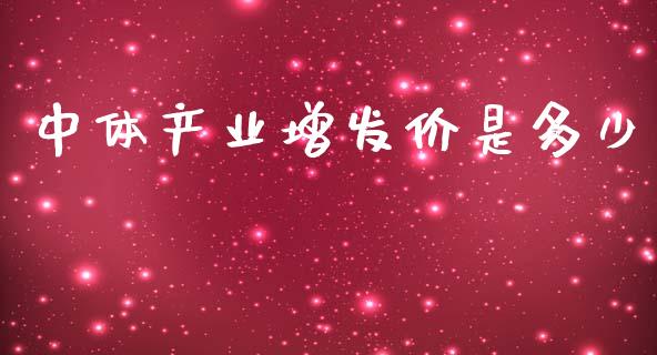 中体产业增发价是多少_https://wap.78312.cn_财经新闻_第1张
