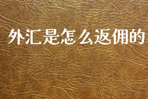外汇是怎么返佣的_https://wap.78312.cn_债券资讯_第1张