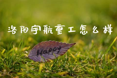 洛阳宇航重工怎么样_https://wap.78312.cn_金融监管_第1张