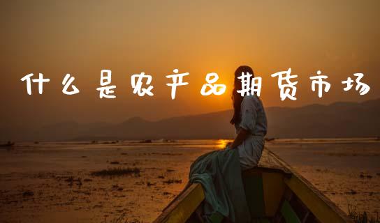 什么是农产品期货市场_https://wap.78312.cn_债券资讯_第1张