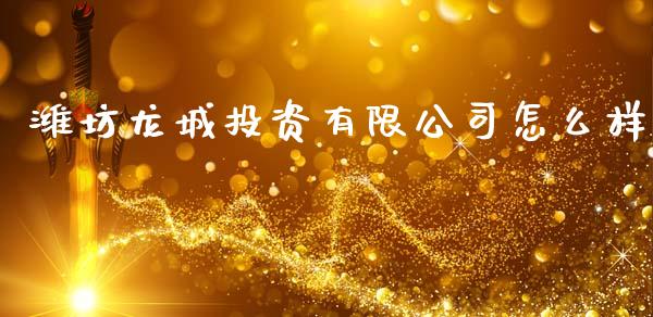 潍坊龙城投资有限公司怎么样_https://wap.78312.cn_债券资讯_第1张