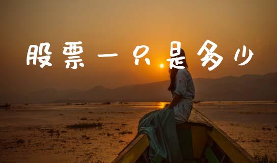 股票一只是多少_https://wap.78312.cn_金融监管_第1张