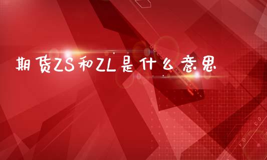 期货ZS和ZL是什么意思_https://wap.78312.cn_全球市场_第1张
