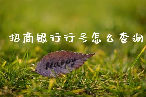 招商银行行号怎么查询_https://wap.78312.cn_全球市场_第1张