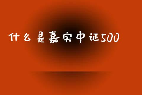 什么是嘉实中证500_https://wap.78312.cn_债券资讯_第1张