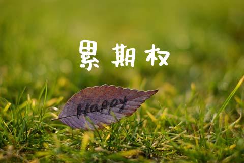 累期权_https://wap.78312.cn_债券资讯_第1张