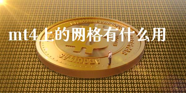 mt4上的网格有什么用_https://wap.78312.cn_全球市场_第1张