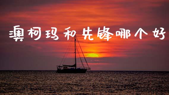 澳柯玛和先锋哪个好_https://wap.78312.cn_期货开户_第1张