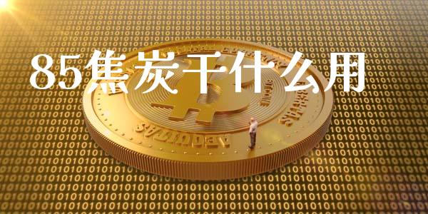 85焦炭干什么用_https://wap.78312.cn_期货开户_第1张