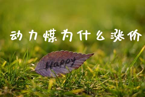 动力煤为什么涨价_https://wap.78312.cn_债券资讯_第1张
