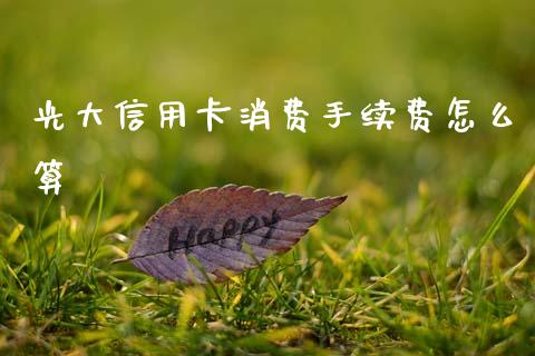 光大信用卡消费手续费怎么算_https://wap.78312.cn_全球市场_第1张