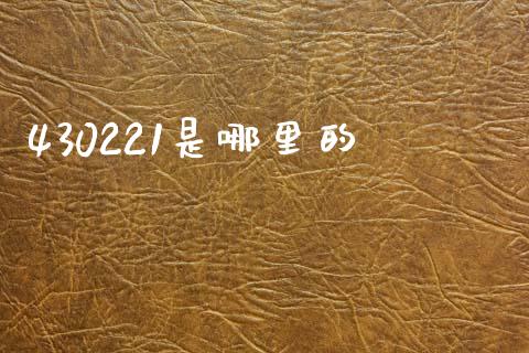 430221是哪里的_https://wap.78312.cn_金融监管_第1张