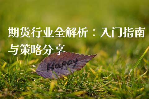 期货行业全解析：入门指南与策略分享_https://wap.78312.cn_金融监管_第1张